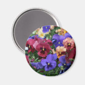 Veelkleurige Pansies Magneet (Voorkant / Achterkant)