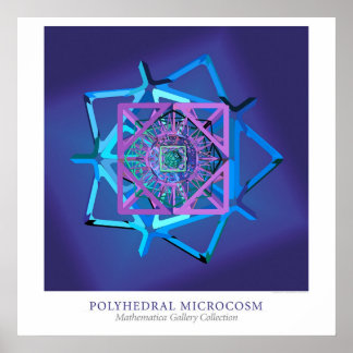 Veelvlakkige Microkosmos Poster