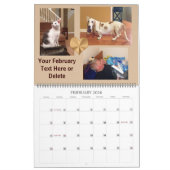 Veelvoudige Foto's en de Grote Kalender van de Tek (Feb 2026)