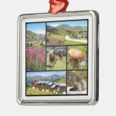 Veelvoudige foto's La Plagne Metalen Ornament (Links)