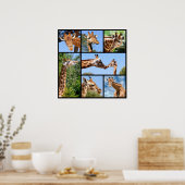 Veelvoudige foto's van giraffen poster (Keuken)