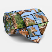 Veelvoudige foto's van het stropdas van giraffes (Opgerold)