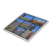 Veelvoudige foto's van Mount Teide bij Tenerife Tegeltje (Zijkant)