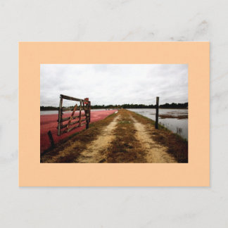 veenbessen briefkaart