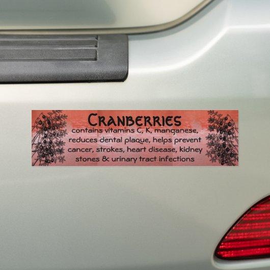 veenbessen bumpersticker (Op auto)