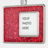 Veenbessen feestelijk rood verzilverd omlijst ornament (Links)