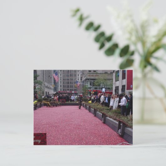 veenbessen in het midden van de NYC Briefkaart (Staand voorkant)