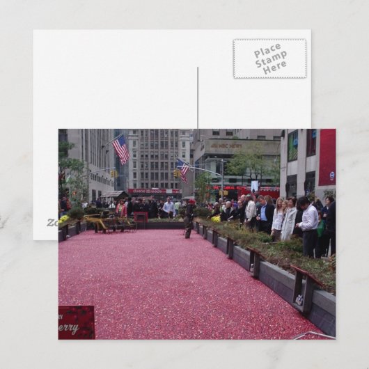 veenbessen in het midden van de NYC Briefkaart (Voorkant / Achterkant)