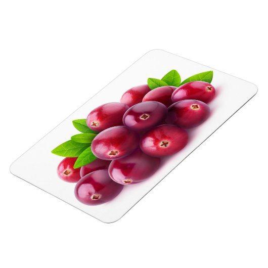 Veenbessen Magneet (Linkerzijde)