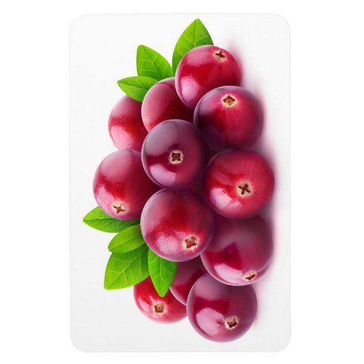 Veenbessen Magneet (Verticaal)