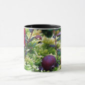 Veenbessen Mok (Midden)