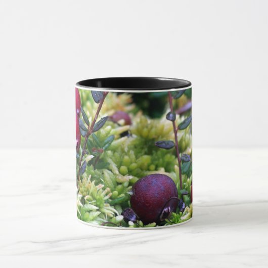 Veenbessen Mok (Midden)