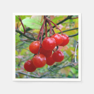 Veenbessen Servetten