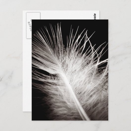 Veer Briefkaart (Voorkant / Achterkant)