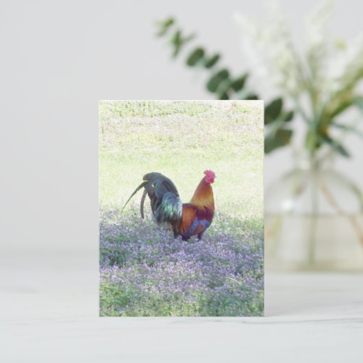 Veer Briefkaart (Staand voorkant)