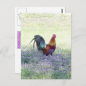 Veer Briefkaart (Voorkant / Achterkant)