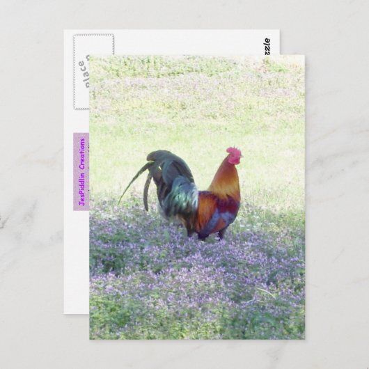 Veer Briefkaart (Voorkant / Achterkant)