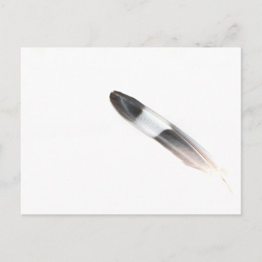 Veer Briefkaart (Voorkant)