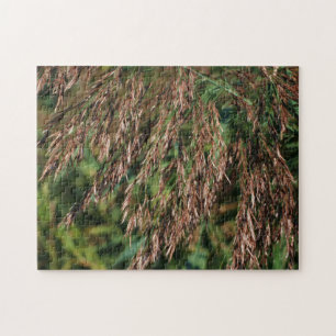 Veer gedroogd gras Sluit de Natuur af Legpuzzel