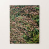 Veer gedroogd gras Sluit de Natuur af Legpuzzel (Verticaal)