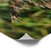 Veer gedroogd gras Sluit de Natuur af Poster (Hoek)