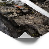 veer op verrijking poster (Hoek)