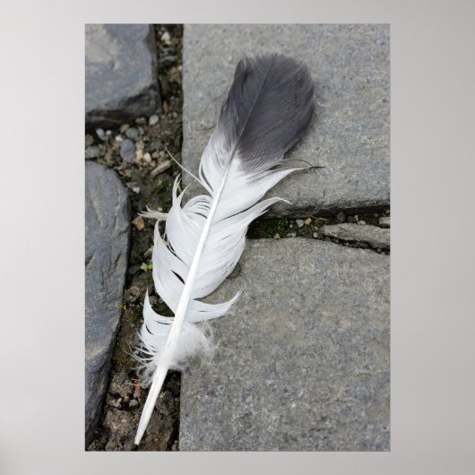 veer op verrijking poster (Voorkant)