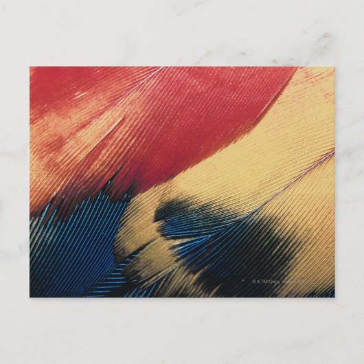 Veer oppervlak 3 briefkaart (Voorkant)