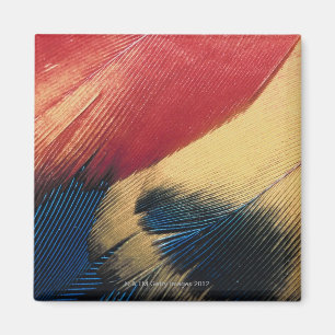 Veer oppervlak 3 magneet