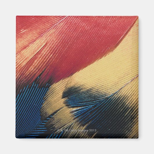 Veer oppervlak 3 magneet (Voorkant)