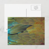 Veer oppervlak briefkaart (Voorkant / Achterkant)