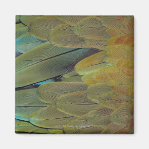 Veer oppervlak magneet