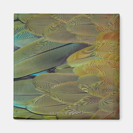 Veer oppervlak magneet (Voorkant)