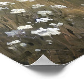 veer van de weideveer van de weidekust van de wil poster (Hoek)