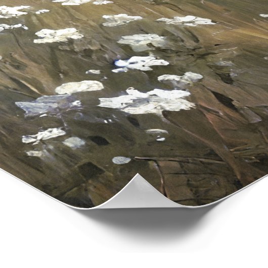 veer van de weideveer van de weidekust van de wil poster (Hoek)