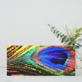 Veer van Shirley Taylor (Staand voorkant)