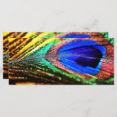 Veer van Shirley Taylor (Voorkant / Achterkant)