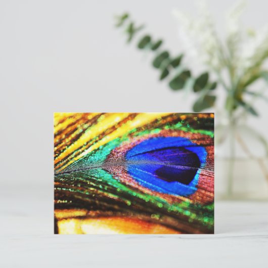 Veer van Shirley Taylor Briefkaart (Staand voorkant)