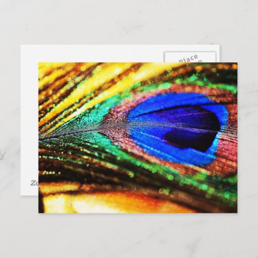 Veer van Shirley Taylor Briefkaart (Voorkant / Achterkant)