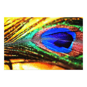 Veer van Shirley Taylor Foto Afdruk