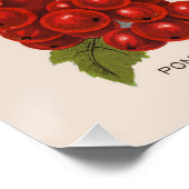 Veerbessen Perfect Poster (Hoek)