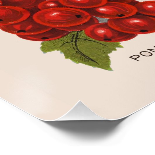 Veerbessen Perfect Poster (Hoek)