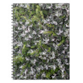 veerbladeren van struiken in het patroon van de na notitieboek (Voorkant)
