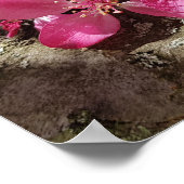 Veerbloeiende appelboom. Roze bloemen Poster (Hoek)