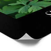 Veerbloem, Poster papier (steen) (Hoek)