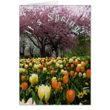 Veerbloemen en bloesem Aangepaste tekst