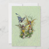 Veerbloemen en vlindervloeren kaart (Achterkant)