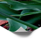 Veerbloemen Tulpen Roze Gele Paarse tuin Poster (Hoek)