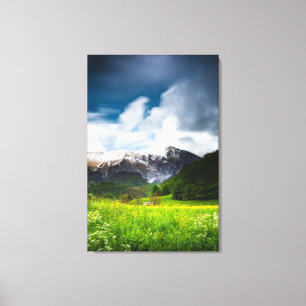 Veerbloemenveld in bergen Krn Canvas Afdruk