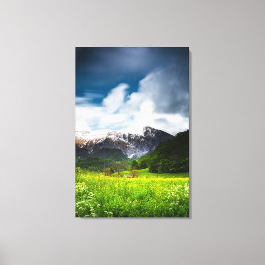 Veerbloemenveld in bergen Krn Canvas Afdruk (Voorkant)